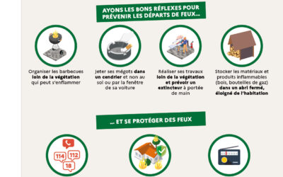 Prévention des feux