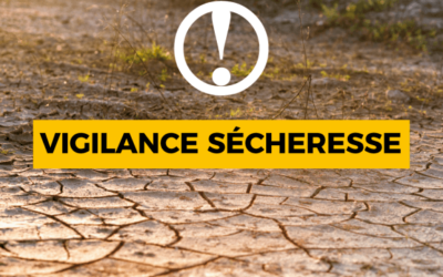 Vigilance sécheresse