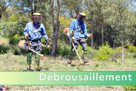 débroussaillement
