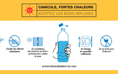 Canicule : Adoptez les bons réflexes