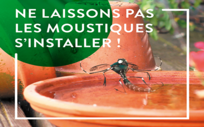 Prévention moustiques